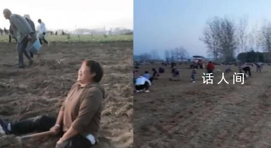 央媒:村民抢药材通报淡化违法本质