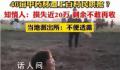 上百村民哄抢药材 承包户坐地大哭