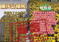 重庆公租房不摇号就分房?不实
