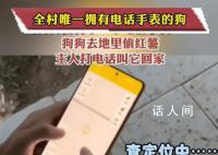 全村唯一拥有电话手表的小狗 网友：我就想知道这狗是怎么接电话的