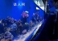 小伙在自家厕所里建海洋馆隐居6年 有爱好的人生活才不会空虚
