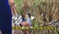 大妈为自拍不慎踩空掉进芦苇荡 民警救援现场笑声一片