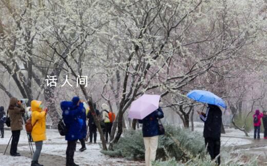 东北此次雨雪量或破历史同期极值 中央气象台3预警齐发