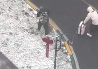 东北雪天出行还原“甄嬛去凌云峰”
