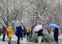 东北此次雨雪量或破历史同期极值 中央气象台3预警齐发