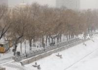 黑龙江一市因暴雪停课停工停产 发布暴雪红色预警信号