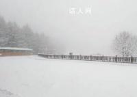 石家庄驼梁云顶下雪了 立冬未至雪花先飘
