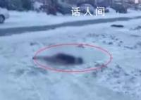 黑龙江男子雪天冻死街头 官方通报