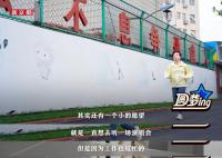 华晨宇演唱会圆梦特教老师 请你来看我的演唱会