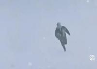 南方室友第一次见东北大雪激动撒欢 仿佛看见了石猴出世