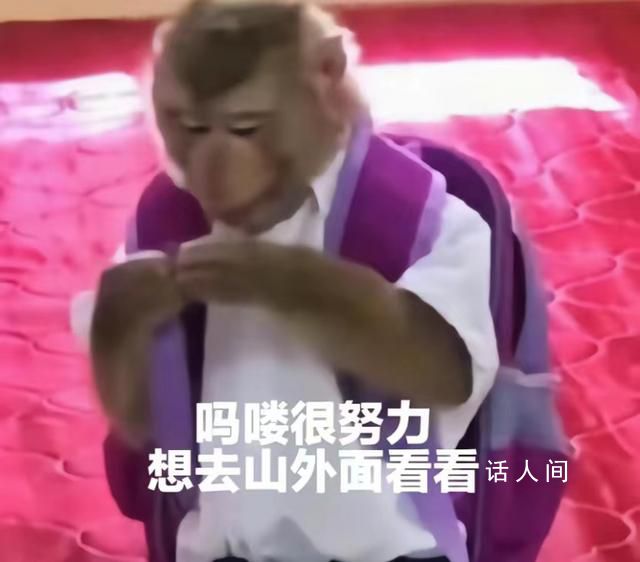 “吗喽”占领了年轻人的生活圈 吗喽风潮仿佛一夜之间席卷网络
