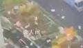 男子从高层撒落大量现金 警方回应