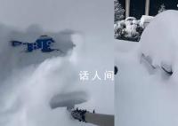 黑龙江暴雪后找车全靠挖 东北雪天找车好像开盲盒
