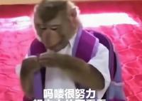 “吗喽”占领了年轻人的生活圈 吗喽风潮仿佛一夜之间席卷网络