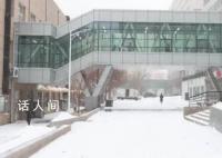 东北大学生正式确诊为华妃 评论区纷纷表示酸了