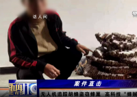 两男子偷价值4600余元胡蜂蜂巢被拘 案件正在进一步侦办中