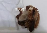 小学食堂疑吃出鼠头 当地成立调查组