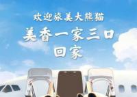 旅美大熊猫美香添添小奇迹已回国 抵达四川成都双流国际机场