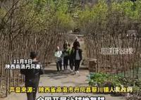 商洛强砍3万多棵国槐树 砍伐之前未与村民提及任何损失赔偿