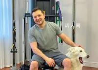 泽连斯基:我希望让狗来管理世界