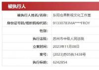 许晴独资工作室被执行624万 涉及合同纠纷案件