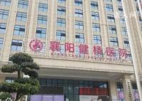 叶有芝简历个人资料 叶有芝今年贩卖出生证5份