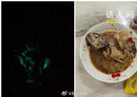 大妈买海鱼红烧后半夜发绿光 红烧鱼半夜发绿光是怎么回事