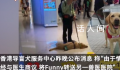 香港一导盲犬在商场内晕倒去世 抢救无效于晚上离世