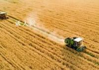筑牢中国粮食安全“压舱石” 进一步确保中国人牢牢端住自己的饭碗