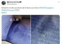 床虱危机为何席卷全球 中国香港也有了它的踪迹