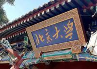 北大否认缅北电诈头目孙子读北大 这个明光忠不是北大学生