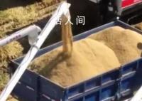 全国秋粮收获过九成半 谱写丰收的新画卷