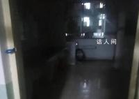 校方回应男生往公用洗衣机丢大便 工作人员表示将进行反馈核实
