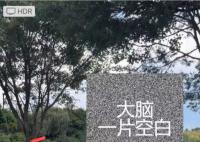 游客在丽江花168元骑马变成骑骡子 感觉被骗