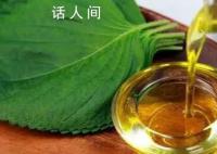 调和油不如动物油?调和油为什么不建议吃