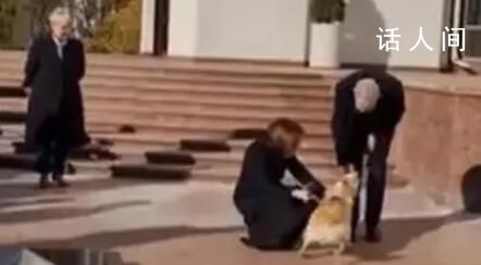 摩尔多瓦总统爱犬咬伤奥地利总统 解释说附近人群让她的狗受到了惊吓