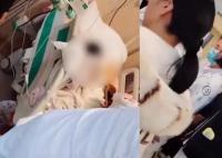 女孩肝癌晚期医护提前为其过生日 手术已经无法挽回她的生命