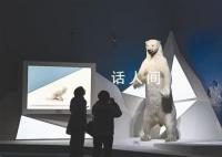共同家园 大自然的奇迹
