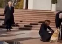 摩尔多瓦总统爱犬咬伤奥地利总统 解释说附近人群让她的狗受到了惊吓