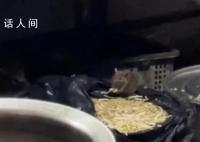 重庆火锅店后厨老鼠吃豆芽 官方通报