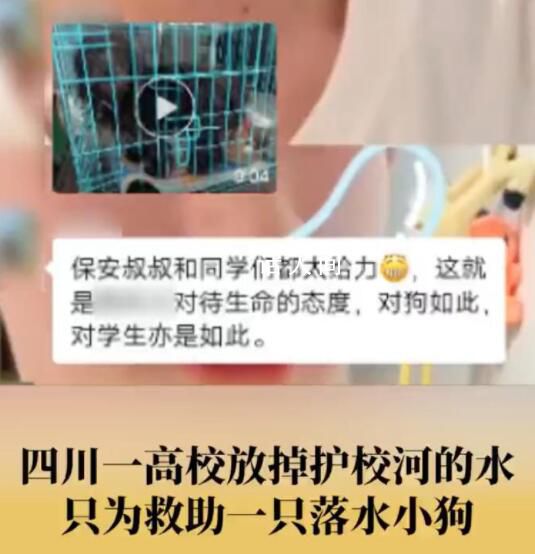 高校放掉部分护校河水救落水小狗 成功将狗狗救了出来