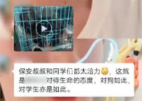 高校放掉部分护校河水救落水小狗 成功将狗狗救了出来
