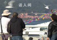 男子抓海鸥被罚要起诉昆明官方 是它先咬的我