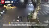 导盲犬带主人吃火锅迷路 民警立刻护送几人前往火锅店
