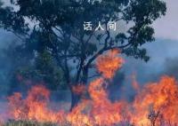 南半球夏季或将面临极端高温天气 降水减少引发干旱