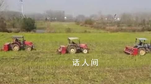 全国秋冬种进度已超98% 冬小麦面积将继续保持稳定