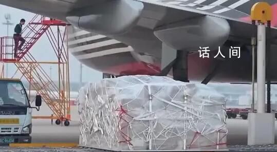 中国国际物流运行持续向好 我国国际货运航空中欧班列等增加明显