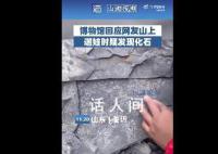 5岁男孩发现5亿年前古生物化石 去年这里发现了寒武纪化石库临沂动物群