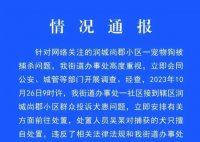 宠物犬被抓走宰杀 处置人员被行拘