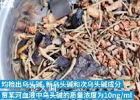 男子吃中药后身亡 当地卫健委介入